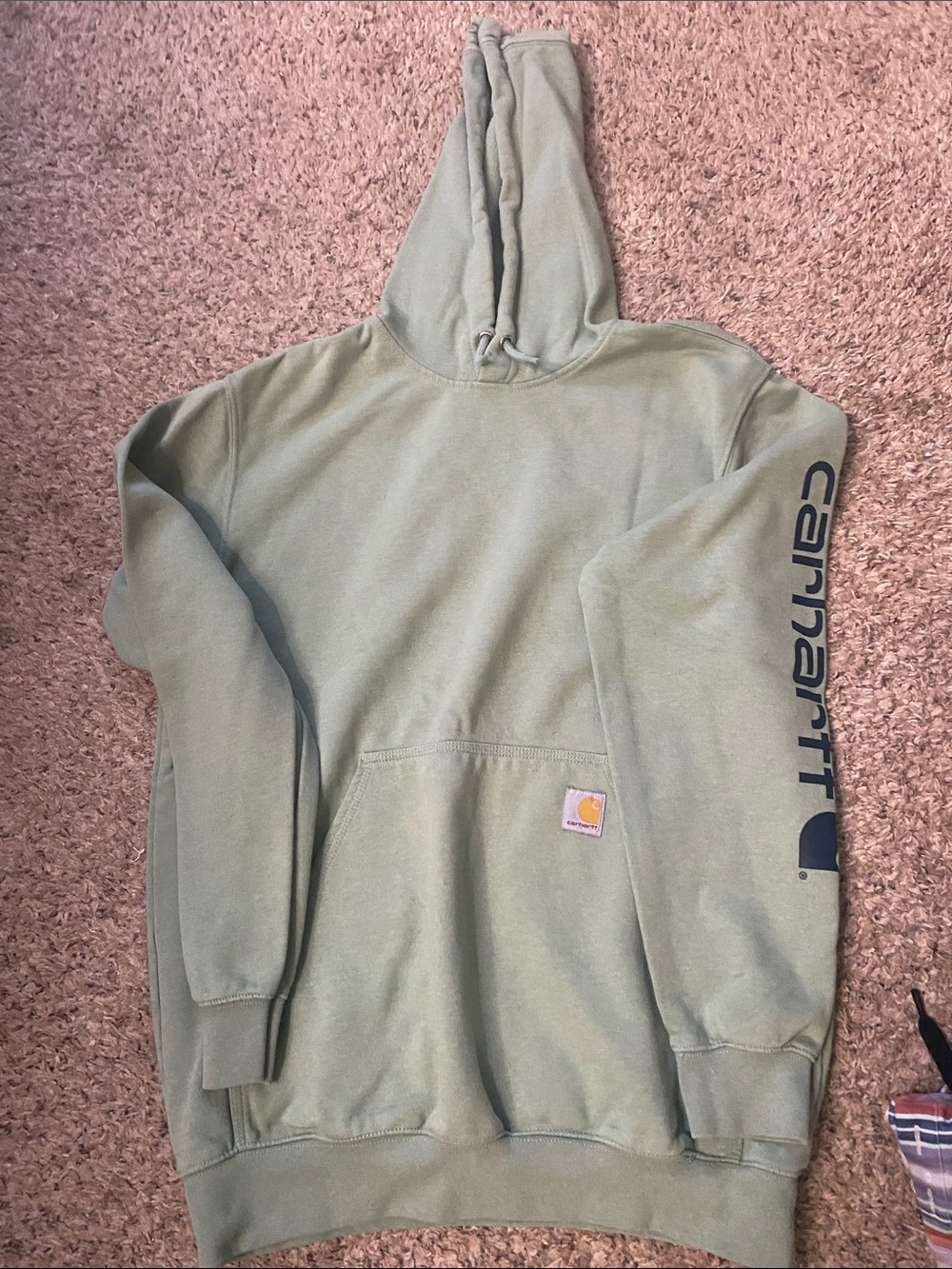 Carhartt Sage Green Pullover Hooded Sweatshirt with Logo Sleeve